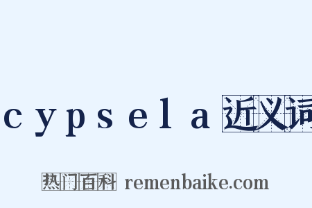 cypsela近义词是什么意思的图片